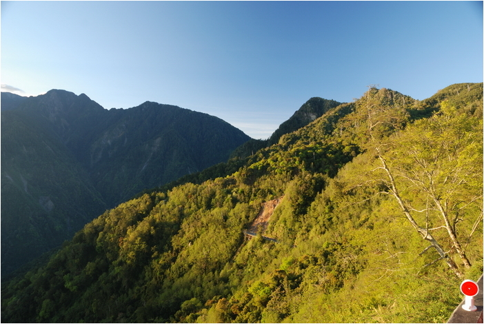 阿里山 | 日出、雲海、鐵路、森林、晚霞 (上)