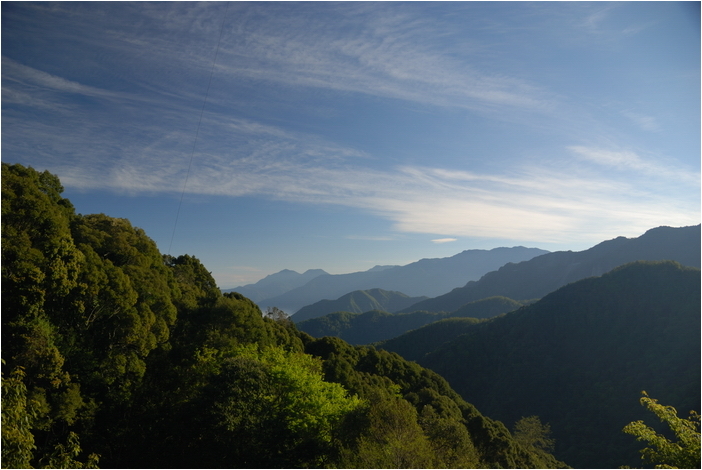 阿里山 | 日出、雲海、鐵路、森林、晚霞 (上)