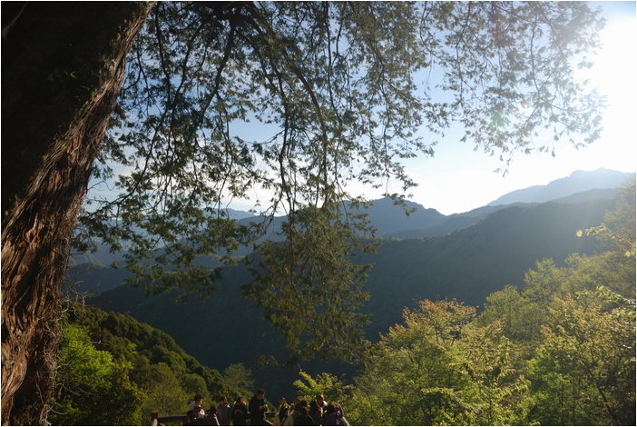 阿里山 | 日出、雲海、鐵路、森林、晚霞 (上)