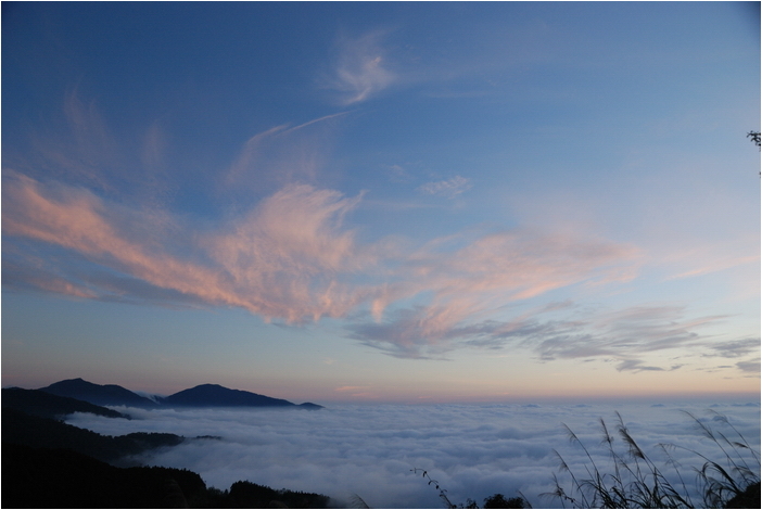 阿里山 | 日出、雲海、鐵路、森林、晚霞 (上)