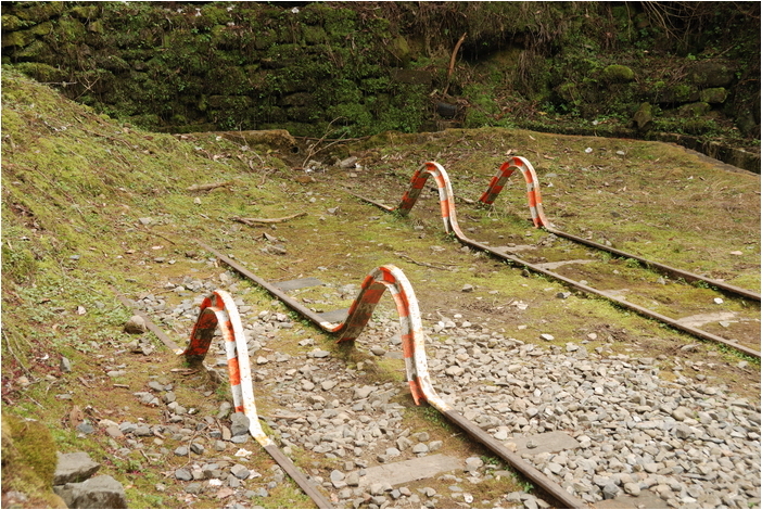 阿里山 | 日出、雲海、鐵路、森林、晚霞 (下)