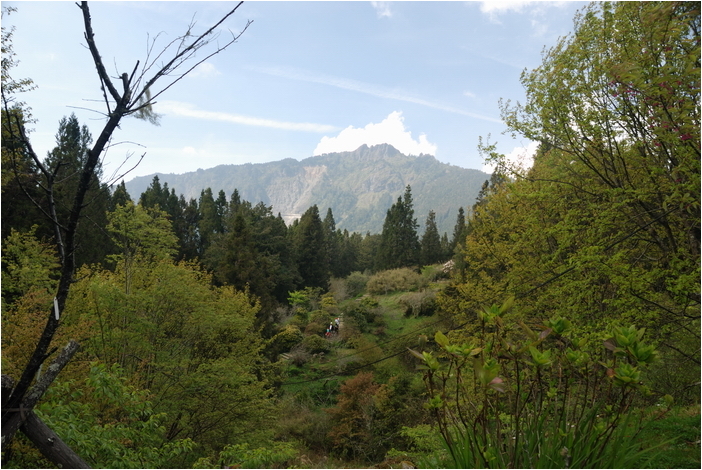 阿里山 | 日出、雲海、鐵路、森林、晚霞 (下)