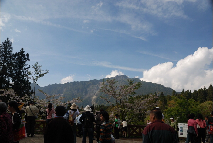 阿里山 | 日出、雲海、鐵路、森林、晚霞 (下)