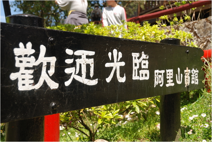 阿里山 | 日出、雲海、鐵路、森林、晚霞 (下)