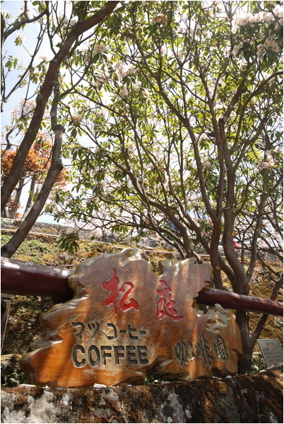 阿里山 | 日出、雲海、鐵路、森林、晚霞 (下)