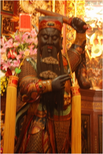 阿里山 | 日出、雲海、鐵路、森林、晚霞 (中)