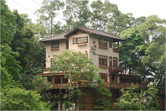 亞熱帶的五月雪。2008桐花季(油桐花坊、獅山遊客中心)