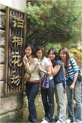 亞熱帶的五月雪。2008桐花季(油桐花坊、獅山遊客中心)