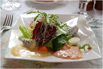 亞熱帶的五月雪。2008桐花季(油桐花坊、獅山遊客中心)