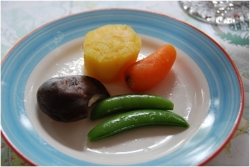 亞熱帶的五月雪。2008桐花季(油桐花坊、獅山遊客中心)