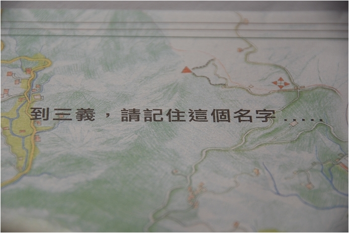亞熱帶的五月雪。2008桐花季(油桐花坊、獅山遊客中心)