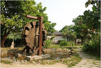 亞熱帶的五月雪。2008桐花季(油桐花坊、獅山遊客中心)