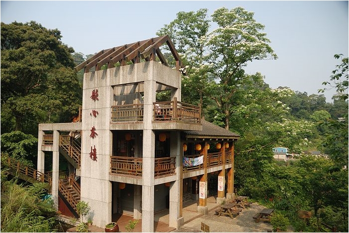 亞熱帶的五月雪。2008桐花季(油桐花坊、獅山遊客中心)