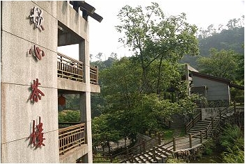 亞熱帶的五月雪。2008桐花季(油桐花坊、獅山遊客中心)