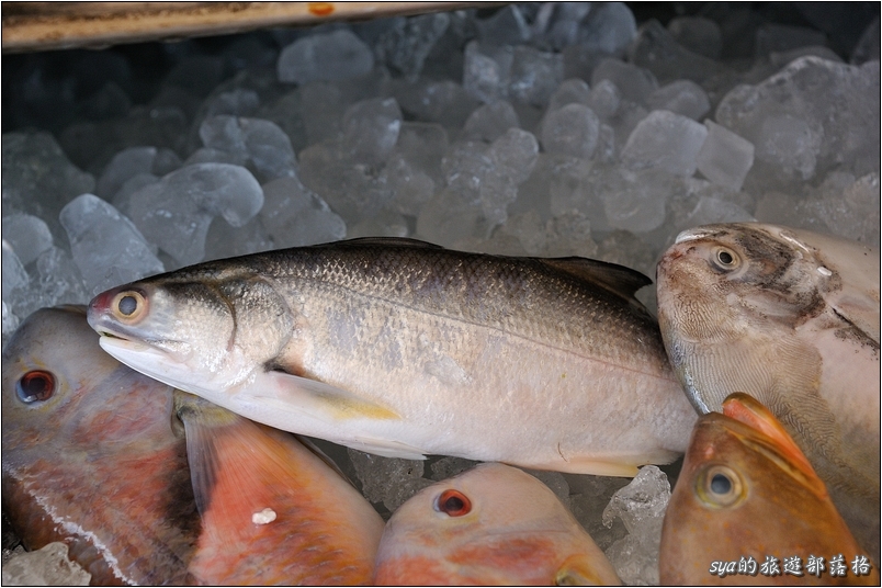 【彰化王功 美食】樹活海產餐廳 | 道地的新鮮海產