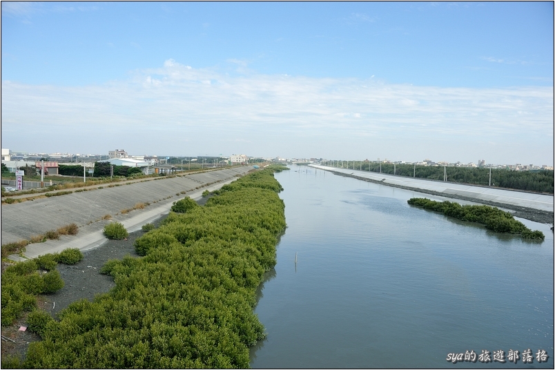 【彰化王功 景點】王功景觀生態橋
