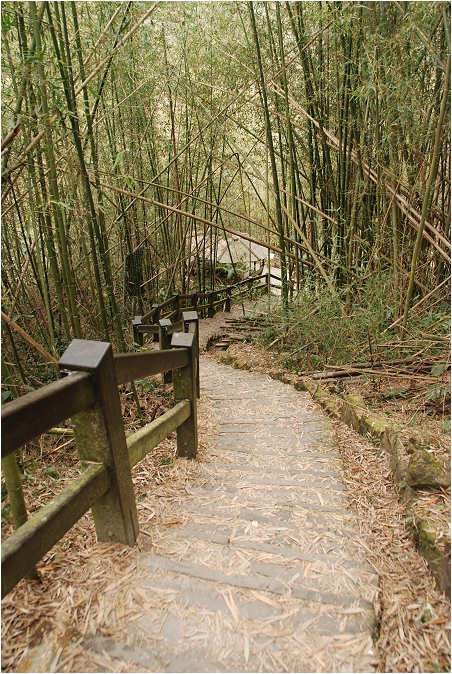 千年蝙蝠洞 | 岩壁上的比屋連甍，來到阿里山可以安排順遊的健行景點