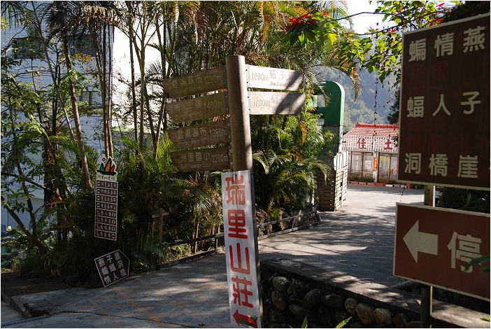 千年蝙蝠洞 | 岩壁上的比屋連甍，來到阿里山可以安排順遊的健行景點