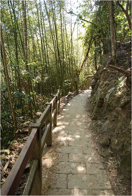 千年蝙蝠洞 | 岩壁上的比屋連甍，來到阿里山可以安排順遊的健行景點