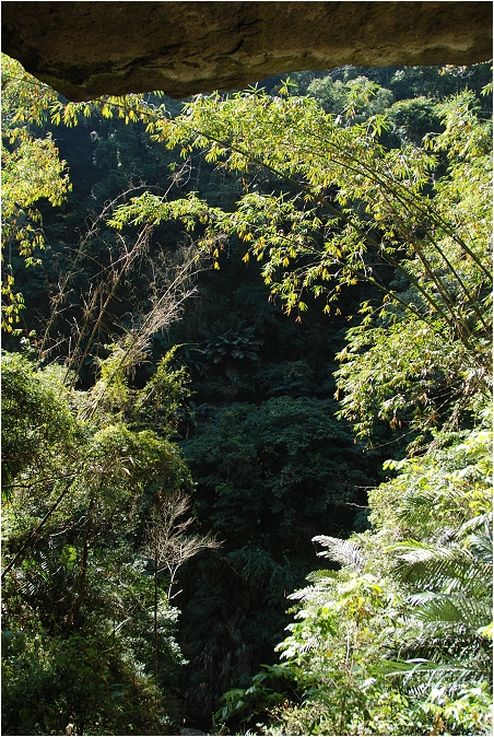 千年蝙蝠洞 | 岩壁上的比屋連甍，來到阿里山可以安排順遊的健行景點