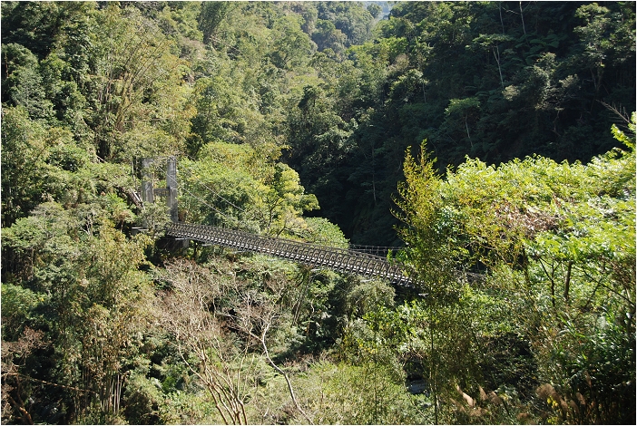 千年蝙蝠洞 | 岩壁上的比屋連甍，來到阿里山可以安排順遊的健行景點