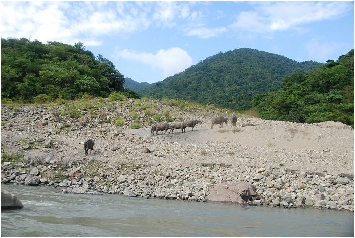 【花蓮 景點】東台灣的夏日激情。秀姑巒溪泛舟