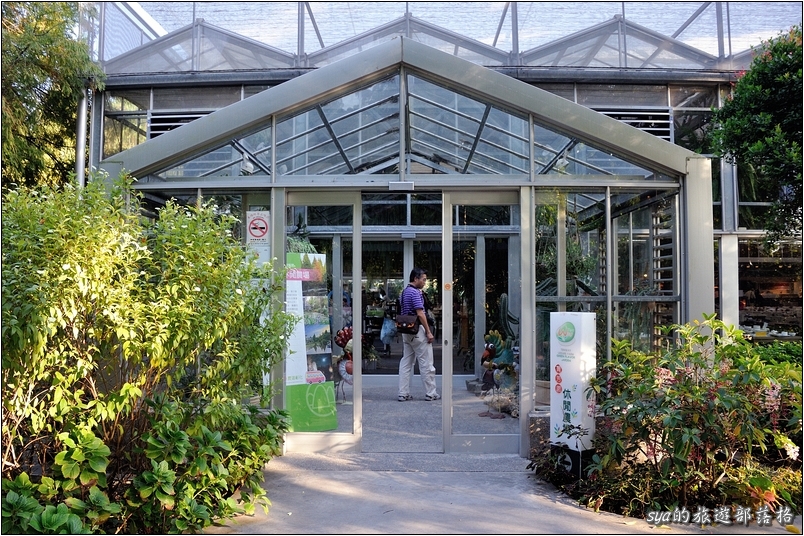 【彰化 景觀餐廳】菁芳園 落羽松林 | 歐洲般的景致