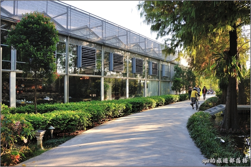 【彰化 景觀餐廳】菁芳園 落羽松林 | 歐洲般的景致