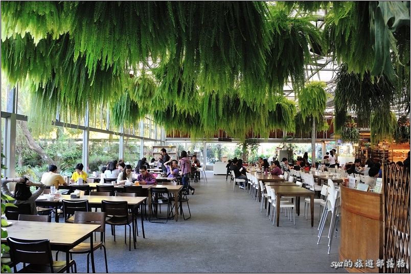 【彰化 景觀餐廳】菁芳園 落羽松林 | 歐洲般的景致