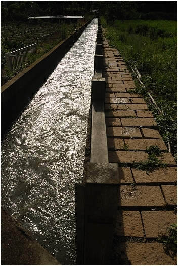 【南投 景點】北圳步道
