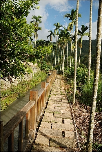 【南投 景點】北圳步道