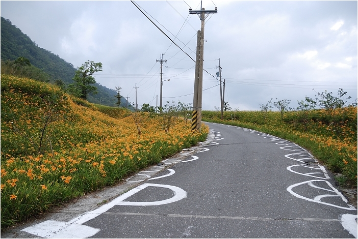 【花蓮 景點】赤科山 | 洄瀾的金色山谷