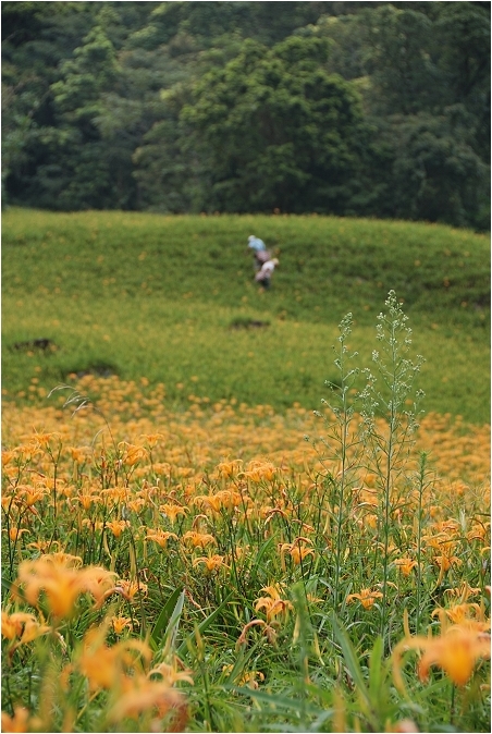 【花蓮 景點】赤科山 | 洄瀾的金色山谷