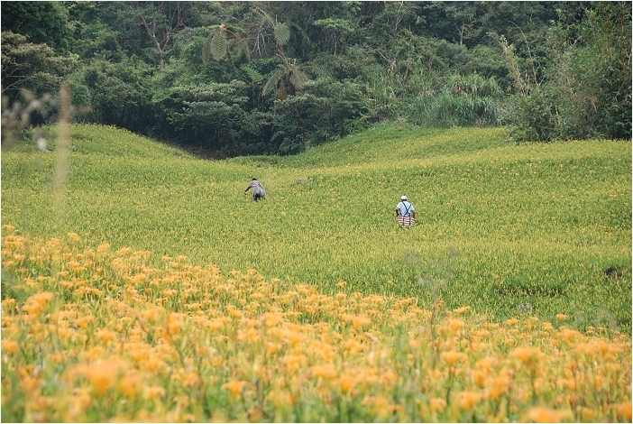 【花蓮 景點】赤科山 | 洄瀾的金色山谷