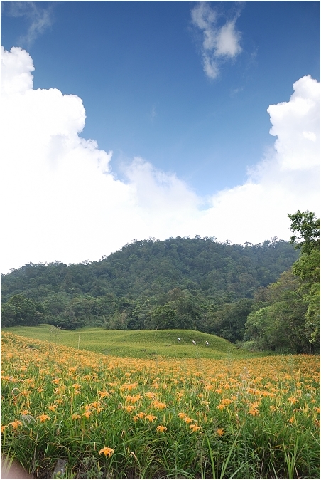 【花蓮 景點】赤科山 | 洄瀾的金色山谷
