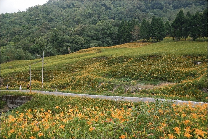 【花蓮 景點】赤科山 | 洄瀾的金色山谷