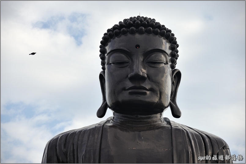 【彰化 景點】八卦山大佛