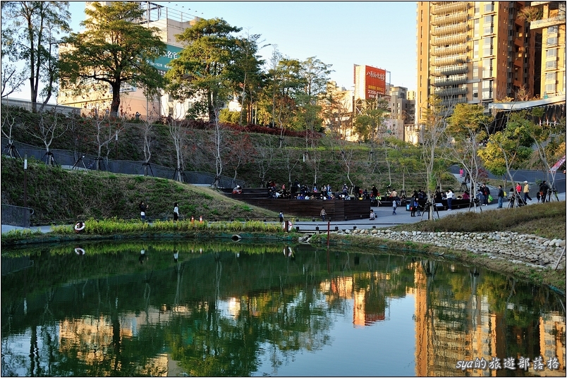 【台中 景點】秋紅谷生態公園 | 城市山谷中的一抹綠地