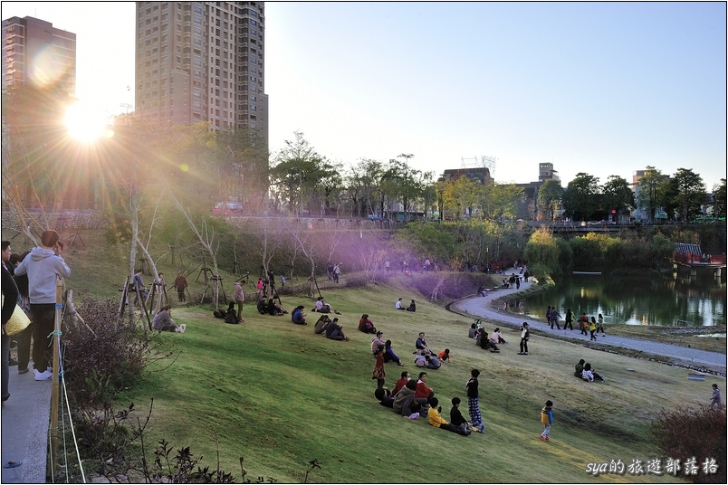 【台中 景點】秋紅谷生態公園 | 城市山谷中的一抹綠地