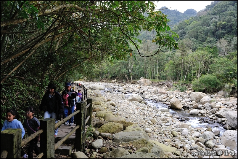 【苗栗 步道景點】蓬萊溪生態賞魚步道