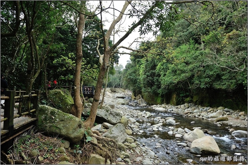 【苗栗 步道景點】蓬萊溪生態賞魚步道