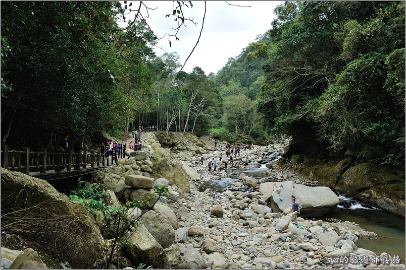 【苗栗 步道景點】蓬萊溪生態賞魚步道