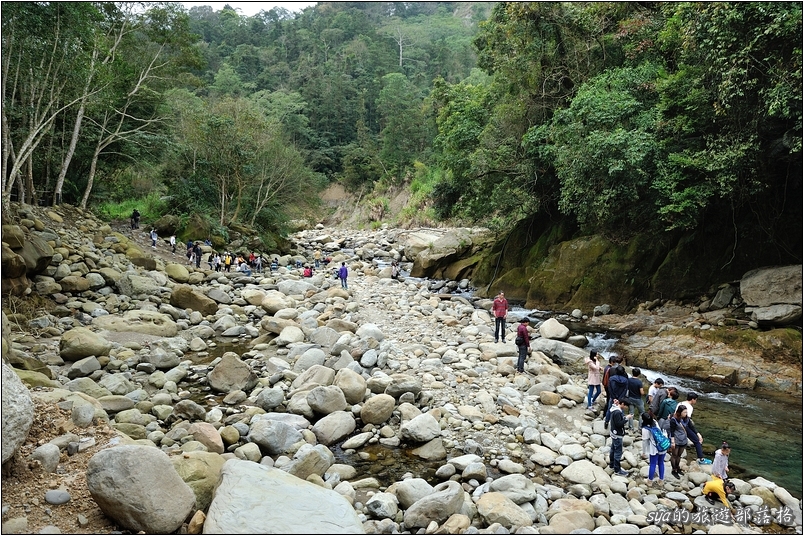 【苗栗 步道景點】蓬萊溪生態賞魚步道