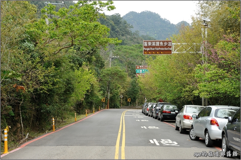 【苗栗 步道景點】蓬萊溪生態賞魚步道