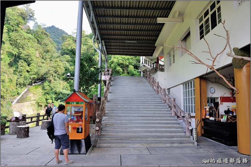 【台北 景點】烏來雲仙樂園 | 螢火蟲的追逐(6)