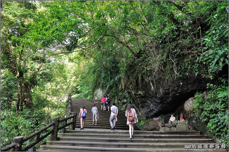 【台北 景點】烏來雲仙樂園 | 螢火蟲的追逐(6)