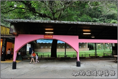 【台北 景點】烏來雲仙樂園 | 螢火蟲的追逐(6)