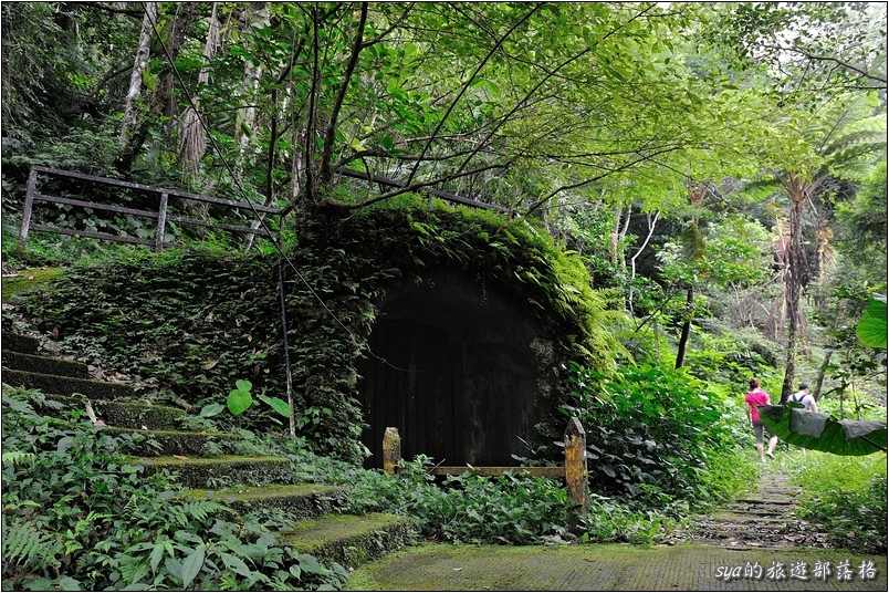 【台北 景點】烏來雲仙樂園 | 螢火蟲的追逐(6)
