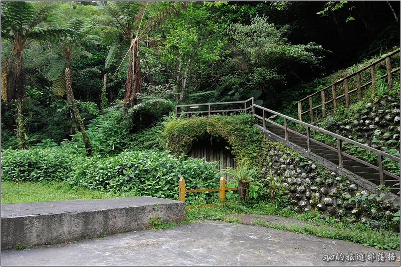 【台北 景點】烏來雲仙樂園 | 螢火蟲的追逐(6)