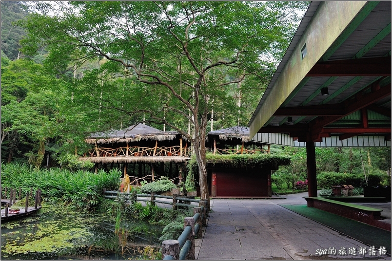 【台北 景點】烏來雲仙樂園 | 螢火蟲的追逐(6)